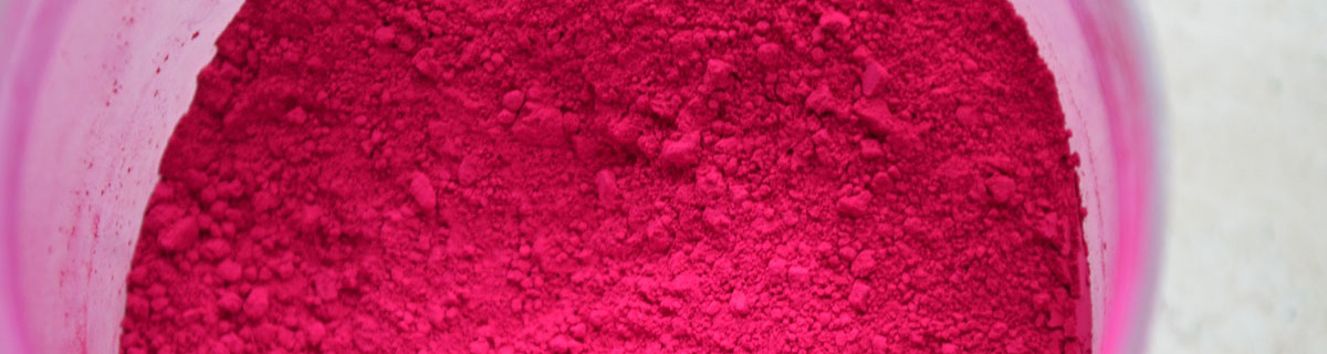 Kurse für Erwachsene